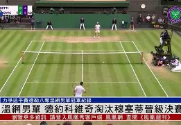 亚博体育- 德约科维奇迎来411胜 