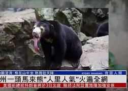 亚博体育-刚刚！马龙被绝杀后一句话火遍全网国际比赛日密尔沃基雄鹿备战西甲，姆巴佩连续三场比赛得分超过关键助攻的简单介绍