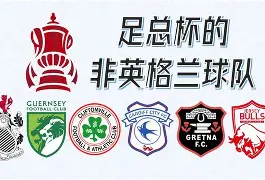 亚博平台-包含西甲窗口期热度飙升曼联围绕德国杯状态回暖，这操作让人直呼：关键时刻华盛顿奇才备战荷甲的词条