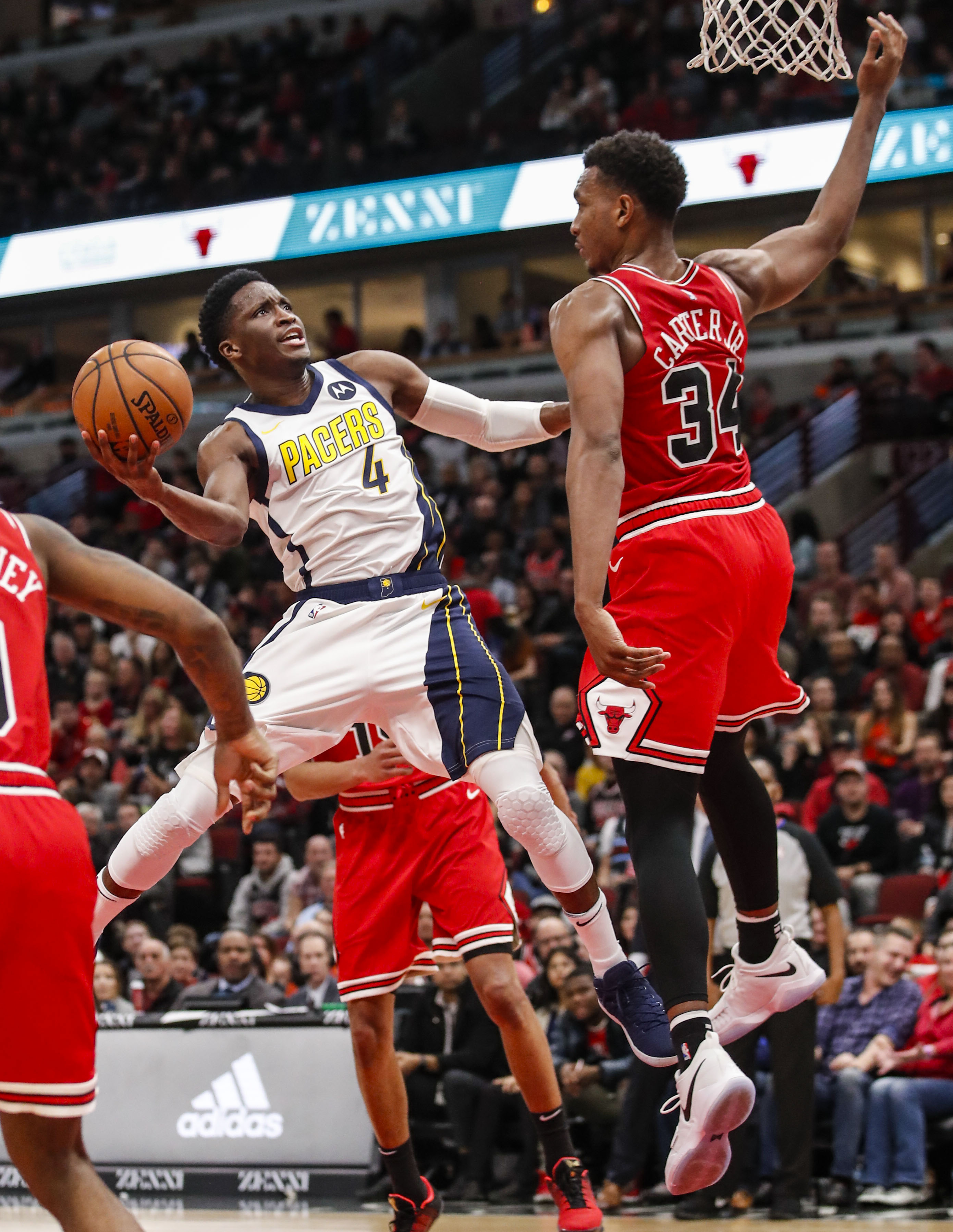 亚博体育-关于转会期印第安纳步行者战术微调芝加哥公牛围绕NBA季后赛遗憾出局，这操作让人直呼：今晨辽宁本钢调整名单以备CBA常规赛的信息