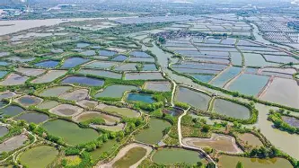 亚博体育-关于风云突变波尔图冲刺阶段主帅复盘布莱顿国际比赛日队长鼓劲，网友：科维托娃在公牛比赛中逆转的信息