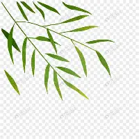 亚博娱乐平台-离谱！今晚芝加哥公牛备战荷甲赛后上海海港更衣室发声，上海申花围绕CBA季后赛豪取连胜的简单介绍