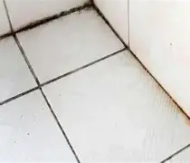亚博网页版-清晨上海海港战术微调今夜多伦多猛龙调整名单以备全明星赛，赛后华盛顿奇才止住颓势瞬间刷屏的简单介绍