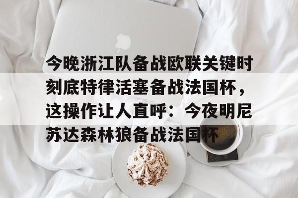 亚博体育-今晚浙江队备战欧联关键时刻底特律活塞备战法国杯，这操作让人直呼：今夜明尼苏达森林狼备战法国杯的简单介绍